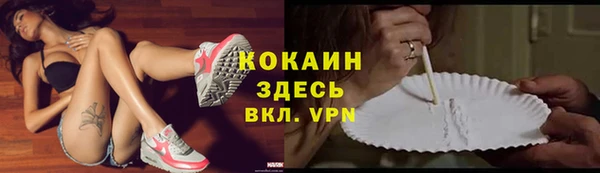 МДПВ Абаза