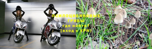 МДПВ Абаза