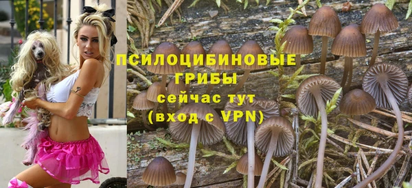 прущая мука Абдулино